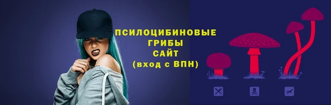 гашишное масло Медвежьегорск